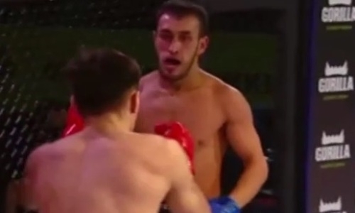 Турнир EFC 31 с участием казахстанцев начался с нокаута дебютанта. Видео