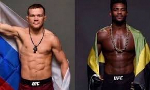 Петр Ян и Алджэмейн Стерлинг устроили перепалку в соцсетях