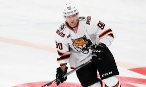 «Залетело буквально всё». В «Амуре» честно подытожили матчи КХЛ с «Барысом»