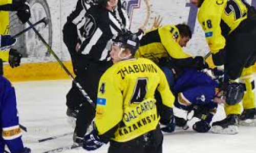 Молодой хоккеист пополнил состав «Темиртау»