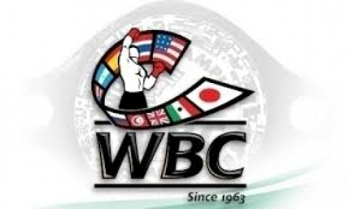 WBC включил сразу двух казахстанцев в номинацию лучших боксеров 2020 года
