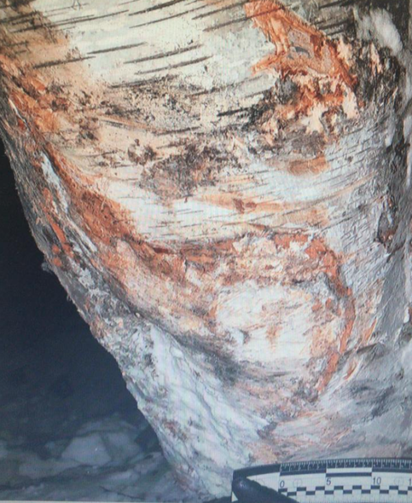 Появились подробности гибели казахстанского лыжника Николая Чеботько. Фото