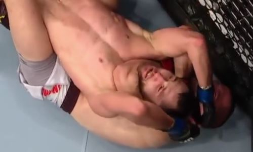 «Отправил спать». Удушение казахстанца братом Хабиба вошло в число лучших сабмишнов UFC за январь