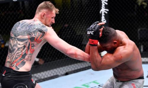 «Он победил уже почти всех». Волкову предсказали звание чемпиона UFC после нокаута Оверима