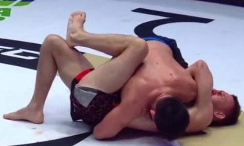 Первый казахстанский файтер в кровавой зарубе победил на глазах у Хабиба Нурмагомедова на EFC 33