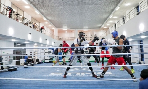 Мужская сборная Казахстана сдала тесты на коронавирус и приступила к УТС в Алматинской области