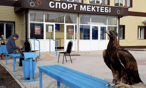 Побеждают на мировых аренах: как сельская спортшкола в Казахстане выпускает чемпионов