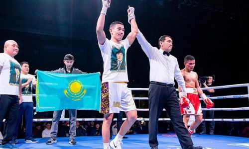 Непобежденный казахстанский боксер продемонстрировал силу удара перед боем с россиянином за титул WBC Asia. Видео