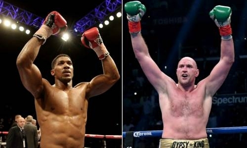 Фьюри и Джошуа разошлись во мнении о сроках их боя за звание «абсолюта»