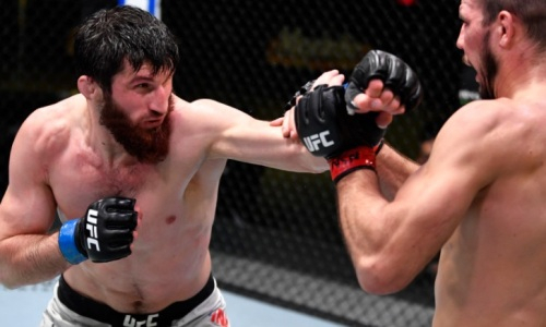 Российский файтер UFC побил украинца в Лас-Вегасе. Видео