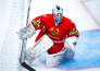 Фоторепортаж с матча «Kazakhstan Hockey Open» Беларусь — Казахстан 2:5