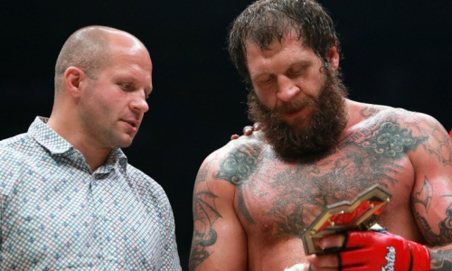 Ангел и дьявол. Появилась карикатура на братьев Емельяненко