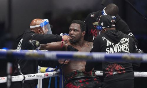 «Сделаю это стильно». Уайт пообещал нокаутировать Поветкина в реванше