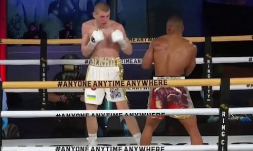 Видео полного боя Богачук — Адамс с сенсационным нокаутом «преемника Головкина»