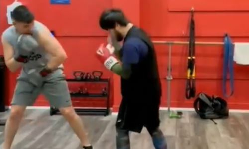 «Баха-пуля» из Казахстана продемонстрировал навыки работы корпусом и ударную мощь. Видео