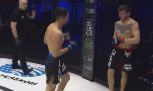 Узбек оформил нокаут на турнире EFC 34 с участием бойца из Казахстана. Видео
