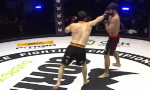 Зверским нокаутом закончился главный бой за титул чемпиона EFC. Видео