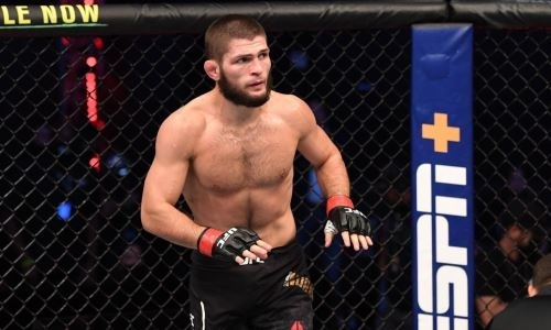 «Ты настоящий гений борьбы». Боец UFC восхитился советом Хабиба во время поединка