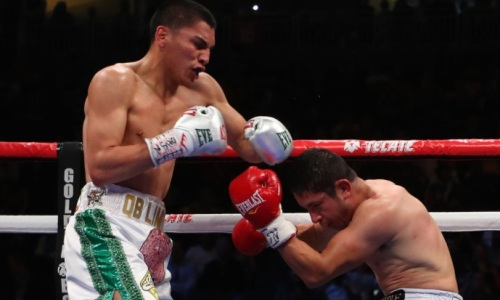 «Охотничий менталитет». Стопроцентного нокаутера сравнили с Геннадием Головкиным