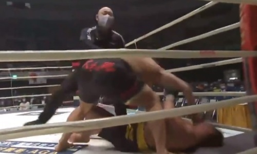 Бывший сумоист нокаутировал дебютанта в ММА за шесть секунд. Видео