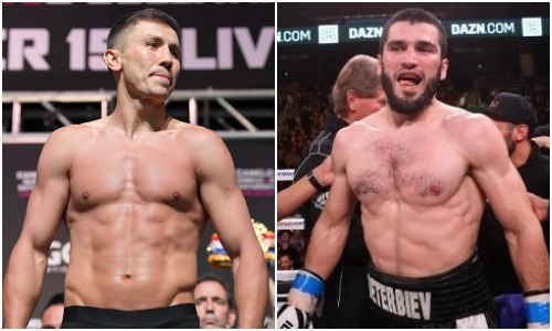 Геннадию Головкину предложили сразиться с Артуром Бетербиевым