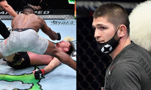 Хабиб Нурмагомедов отреагировал на победу Нганну мощным нокаутом над Миочичем