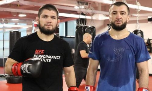 Хабибу Нурмагомедову предрекли получение новой награды после завершения карьеры бойца