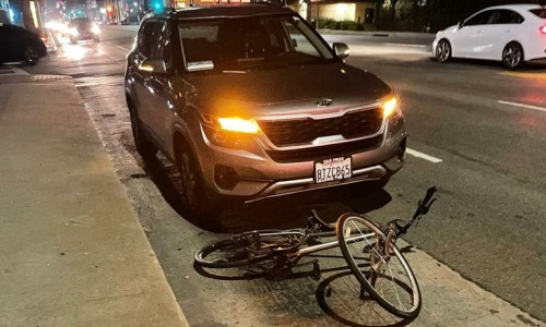 «Cпециально бросился под мою машину и орал». Казахстанскую «Леди Спарту» решили кинуть на деньги в США