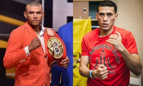 Бывший спарринг-партнер Головкина проведет бой с экс-чемпионом мира