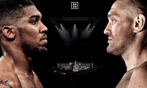 Джошуа и Фьюри согласовали место проведения боя