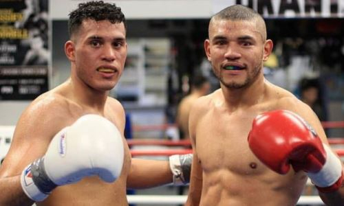Бывшему спарринг-партнеру Головкина поставили цель нокаутировать экс-чемпиона мира