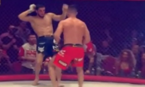 Видео нокаута казахстанца Гойти Дазаева в бою за титул чемпиона Fight Nights