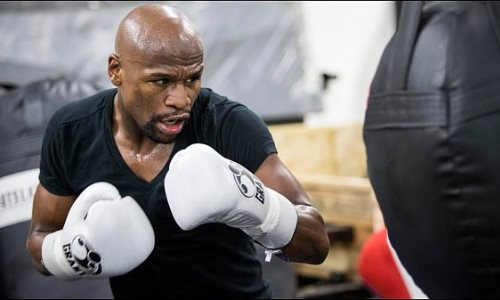 Флойд Мэйвезер начал подготовку к возвращению на ринг. Фото