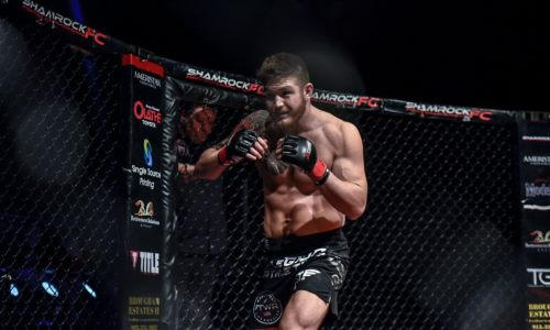 Боец Bellator безжалостно избивал лежащего соперника. Судья отреагировал с явным опозданием. Видео