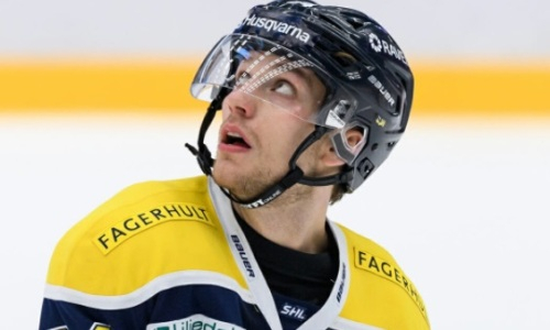 Защитник-бомбардир из сборной Швеции. Что нужно знать о первом новичке «Барыса»