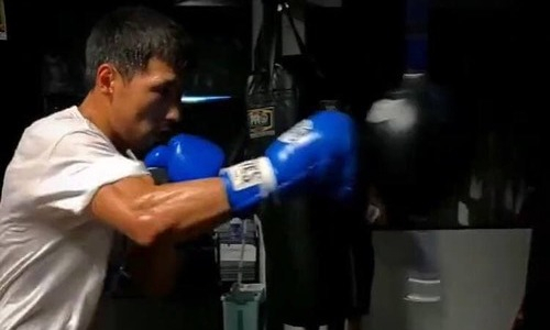 Алимханулы показал уверенную работу со снарядом. Видео