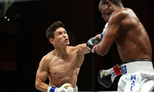 «Офигенно пластичный и гибкий». Данияра Елеусинова сравнили с чемпионом мира