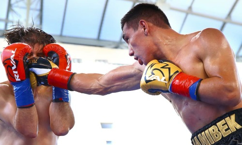 Появились фото и видео спарринга Алимханулы перед его боем с экс-чемпионом мира