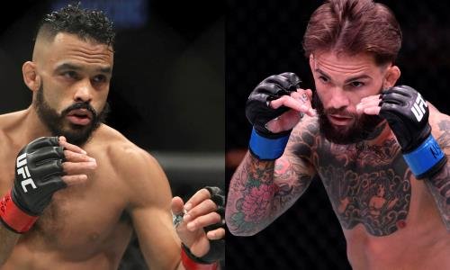 Прямая трансляция турнира UFC 188 с главным боем Фонт — Гарбрандт