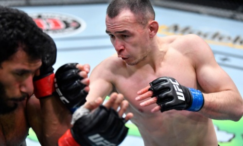 UFC опубликовал статистику боя Исмагулов — Алвес