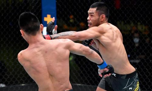 UFC опубликовал статистику боя Нурданбек — Кулибао