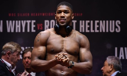 «Усик слишком мал, дерись со мной!». Кубинский «Кинг Конг» бросил вызов Джошуа и выдвинул условие