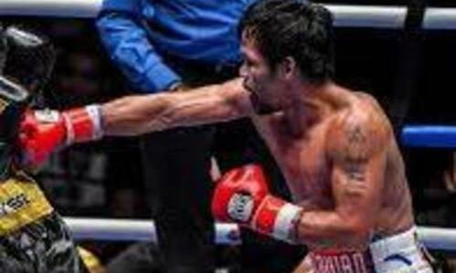 Данияр Елеусинов отрабатывает комбинацию Мэнни Пакьяо. Видео