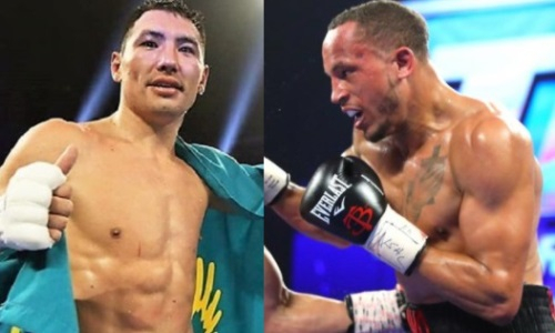 Назван победитель боя Жанибек Алимханулы — Роб Брант