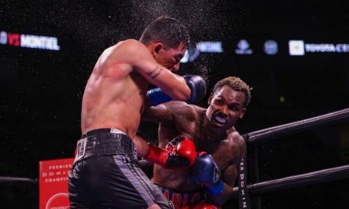 Представлена рекордная статистика ударов боя за титул чемпиона мира в весе Головкина