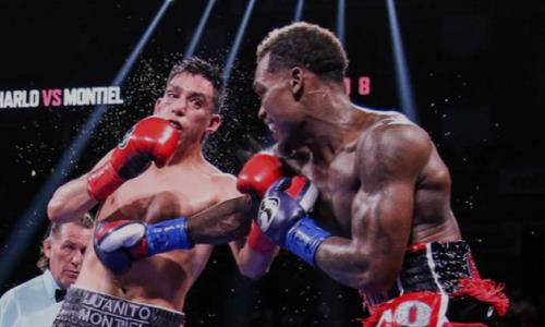 Непобежденный чемпион мира с 22 нокаутами обозначил сроки объединительного боя с Головкиным