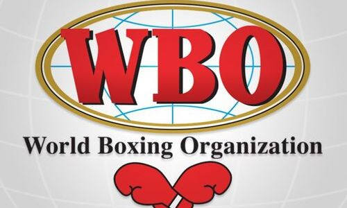 Казахстанские боксеры узнали свои места в обновленном рейтинге WBO