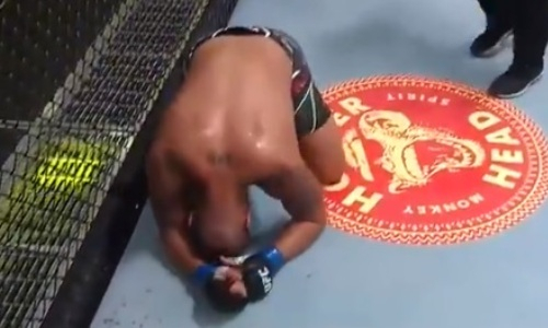 Первый нокаут зафиксирован на турнире UFC с участием Шавката Рахмонова. Видео