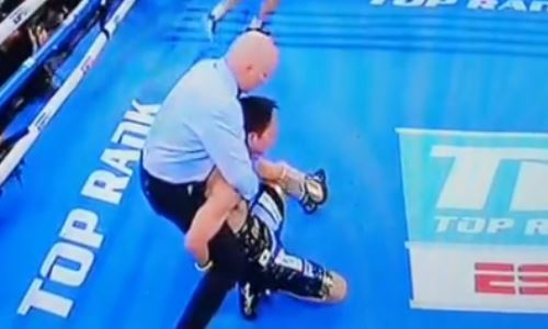 Видео нокаута Василия Ломаченко в бою против Масаёси Накатани