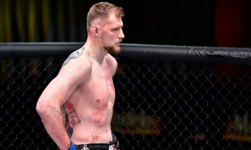 Названы имена возможных соперников Волкова в UFC после поражения Гану